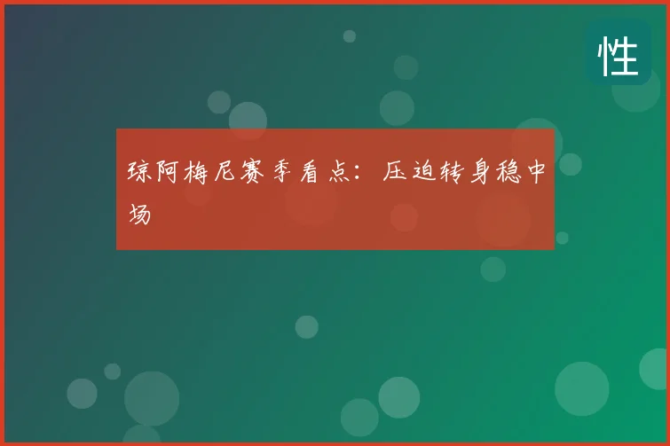 琼阿梅尼赛季看点:压迫转身稳中场